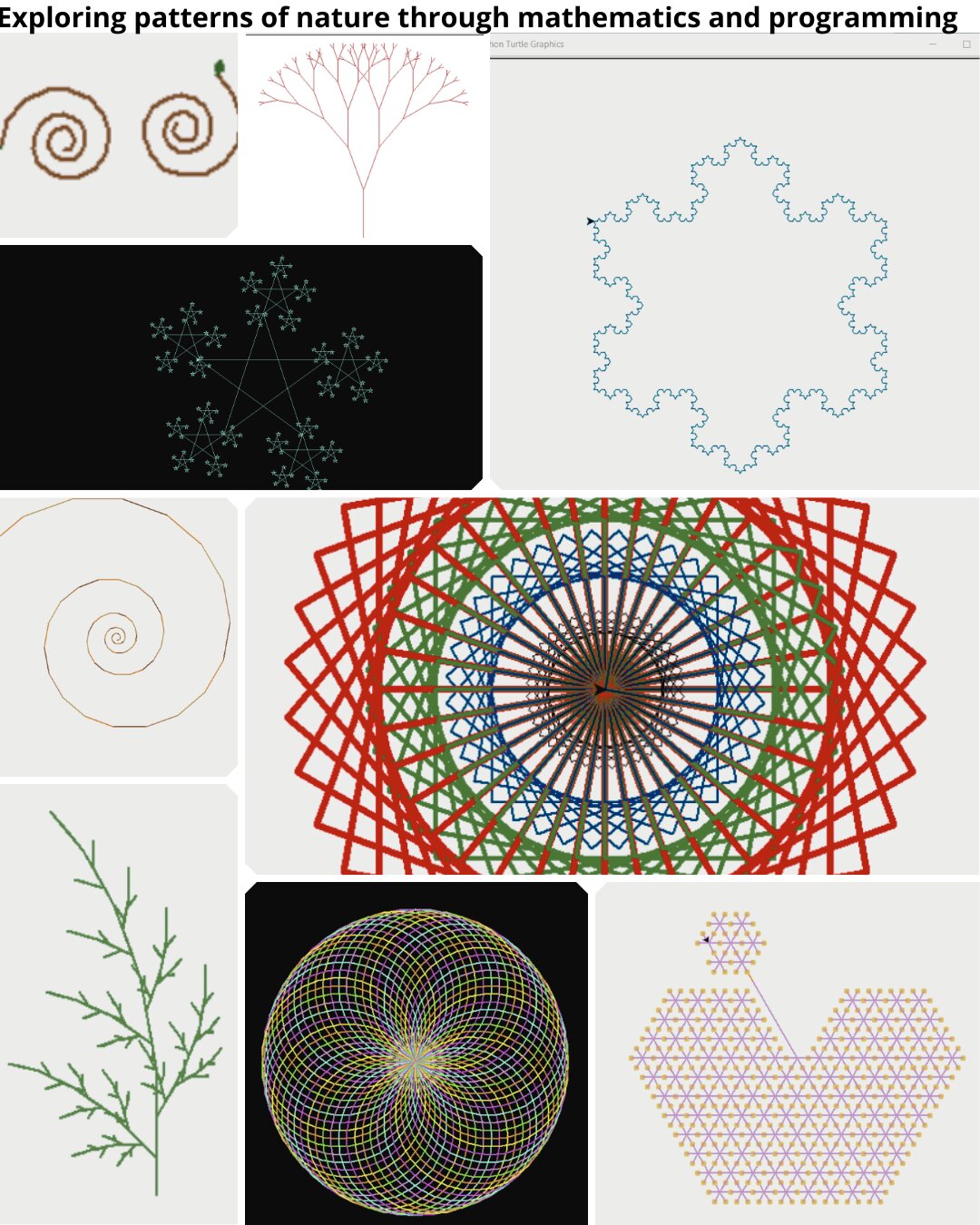 Examples of fractal patterns created by students using Python and the Turtle graphics module
