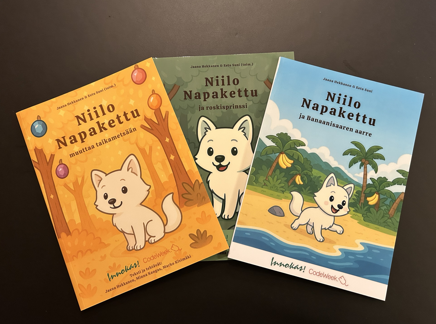 From Small Grant Winner to Growing Storyworld: Meet Niilo Napakettu (Nilo the Snowfox)